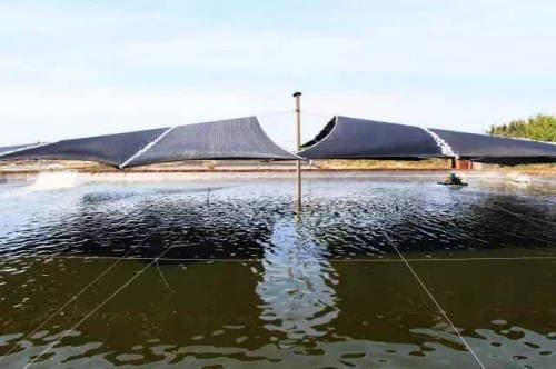 中國養殖基地 yzjidi.com