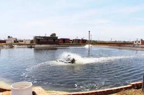 中國養殖基地 yzjidi.com