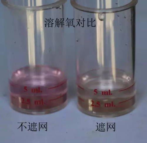 中國養殖基地 yzjidi.com