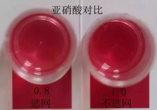 中國養殖基地 yzjidi.com