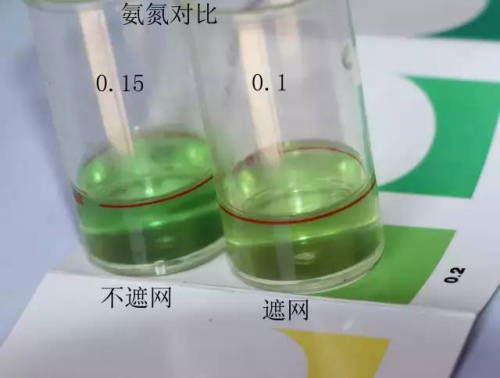 中國養殖基地 yzjidi.com