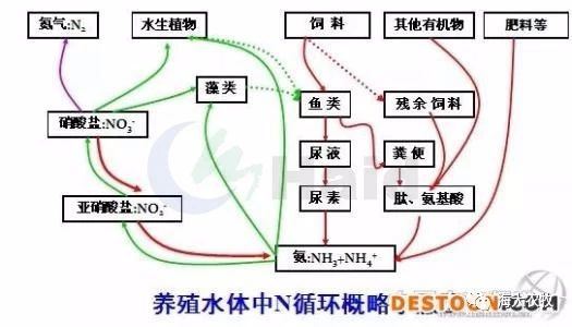 中國養殖基地 yzjidi.com
