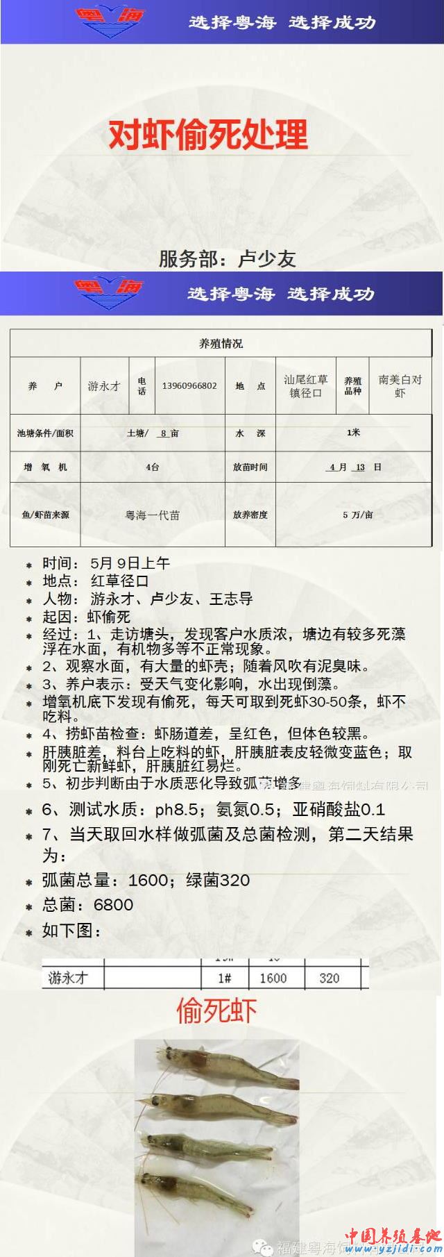 中國養殖基地 yzjidi.com