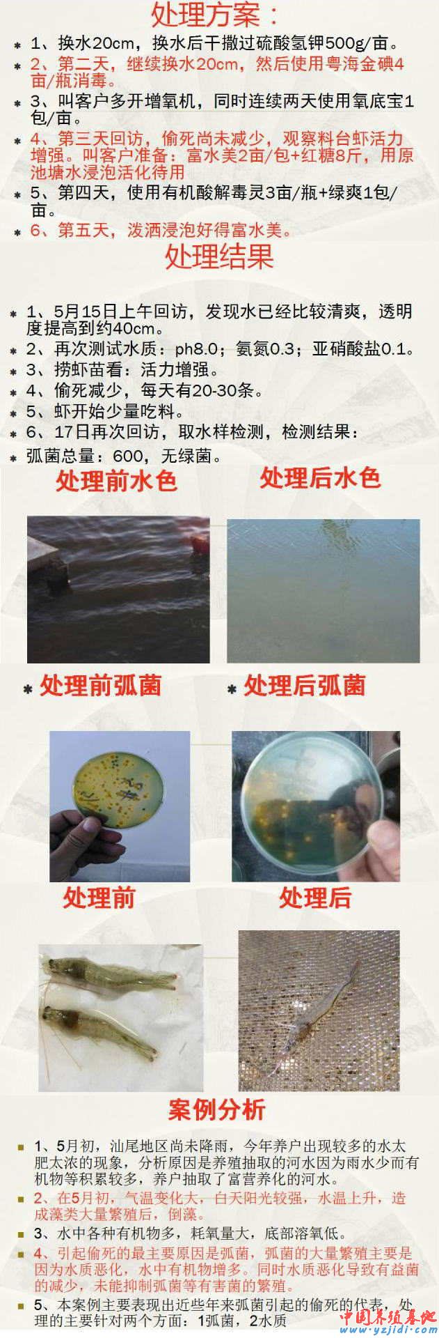 中國養殖基地 yzjidi.com
