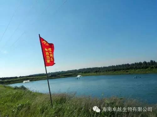 中國養殖基地 yzjidi.com