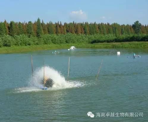 中國養殖基地 yzjidi.com