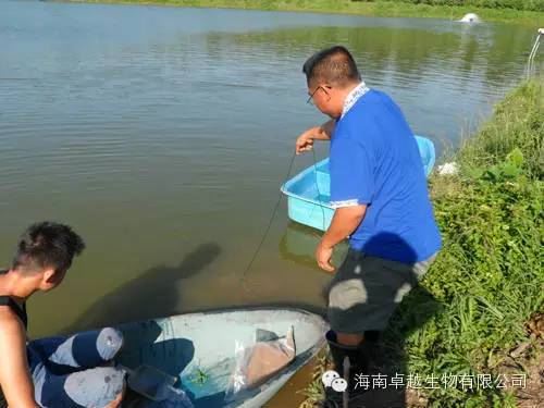 中國養殖基地 yzjidi.com
