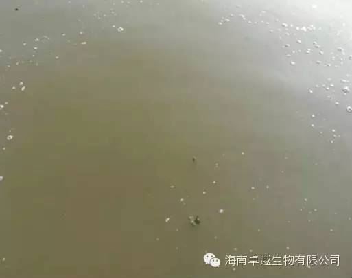中國養殖基地 yzjidi.com