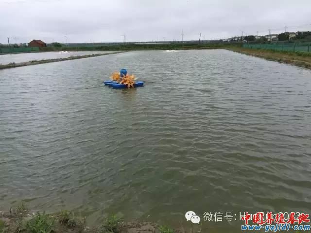 中國養殖基地 yzjidi.com