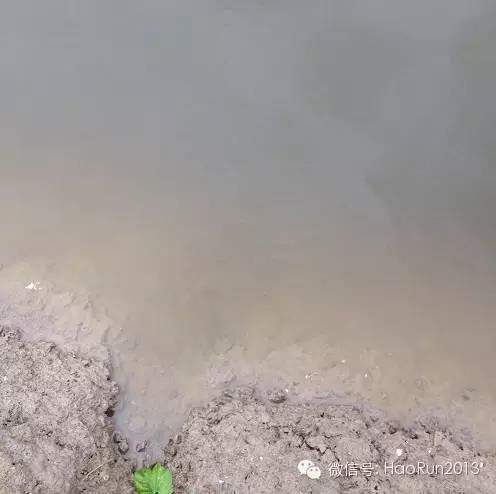 中國養殖基地 yzjidi.com