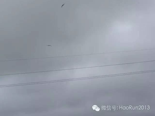 中國養殖基地 yzjidi.com
