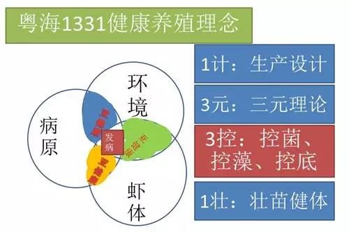 中國養殖基地 yzjidi.com