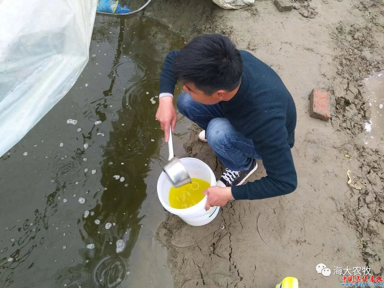 中國養殖基地 yzjidi.com