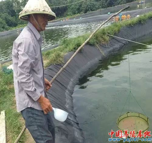 中國養殖基地 yzjidi.com