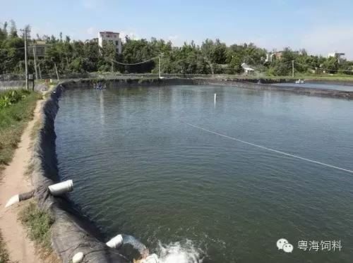 中國養殖基地 yzjidi.com
