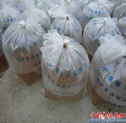 中國養殖基地 yzjidi.com