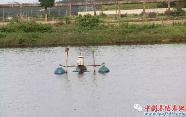 中國養殖基地 yzjidi.com