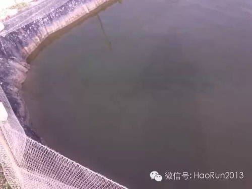 中國養殖基地 yzjidi.com