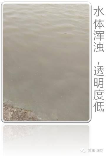 中國養殖基地 yzjidi.com