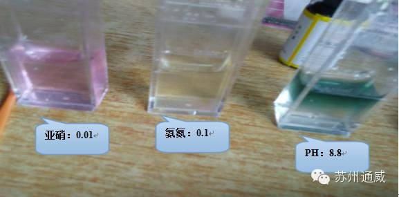 中國養殖基地 yzjidi.com