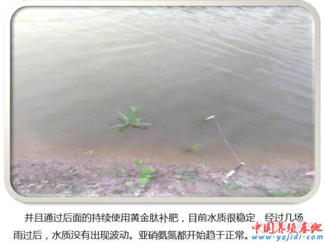 中國養殖基地 yzjidi.com