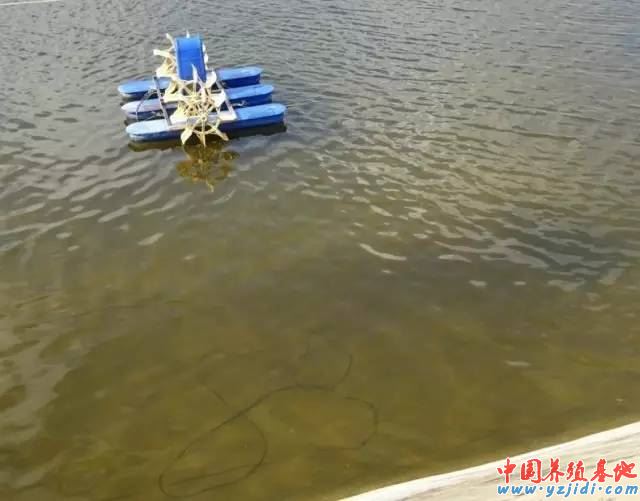 中國養殖基地 yzjidi.com