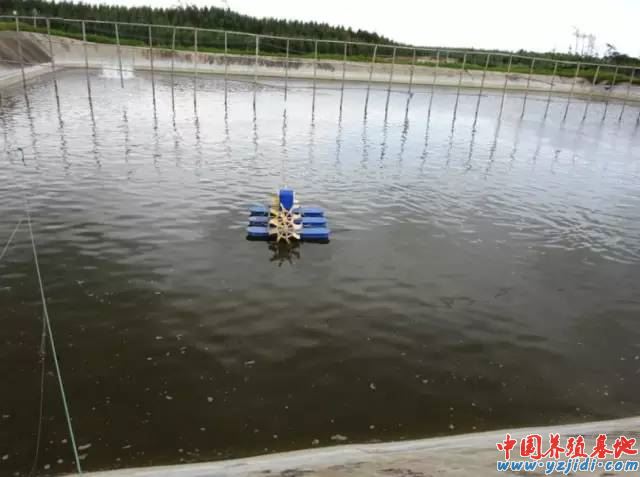 中國養殖基地 yzjidi.com