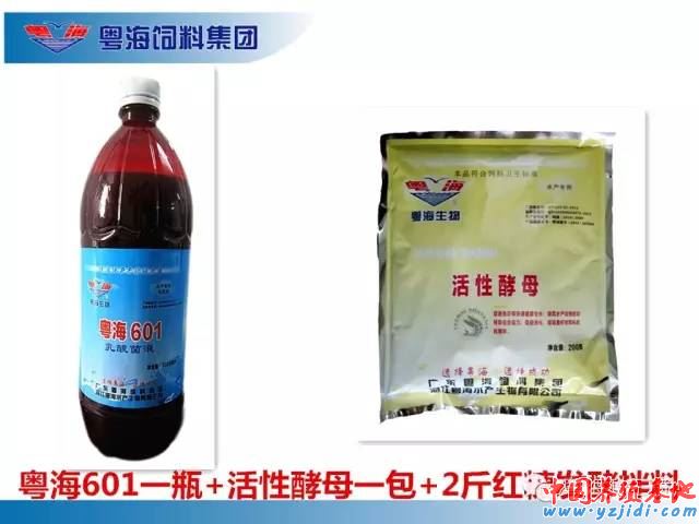 中國養殖基地 yzjidi.com