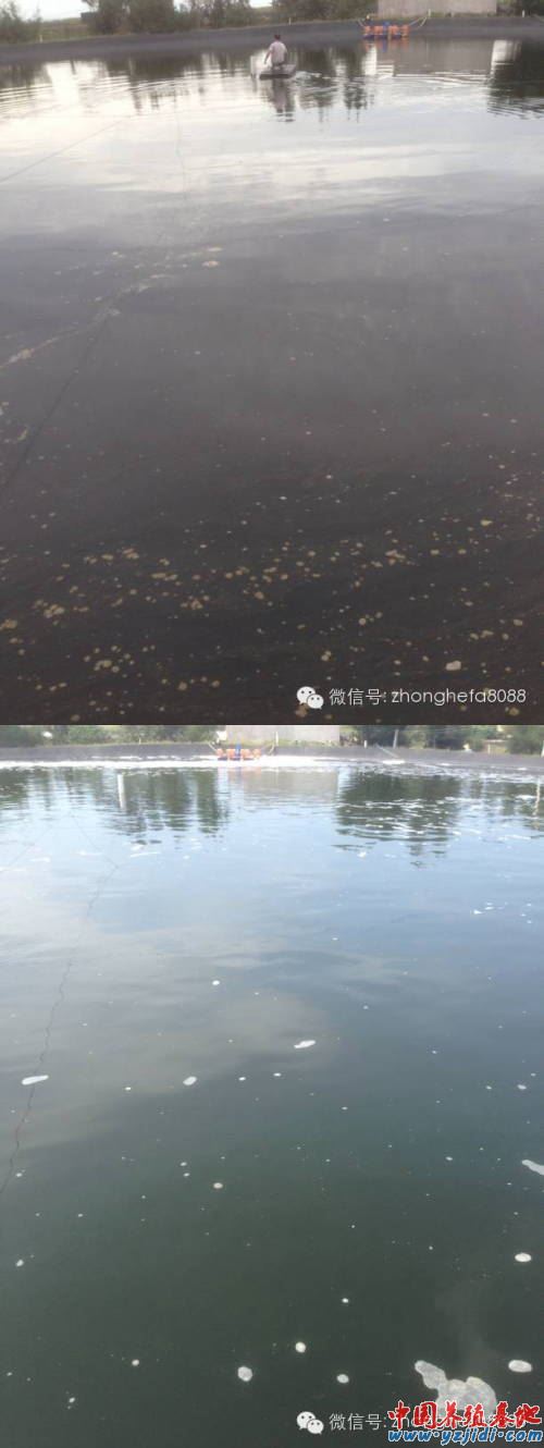 中國養殖基地 yzjidi.com