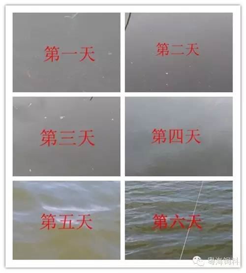 中國養殖基地 yzjidi.com
