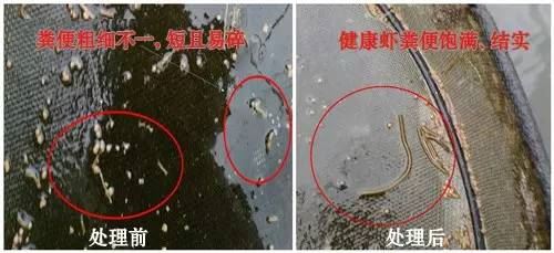 中國養殖基地 yzjidi.com