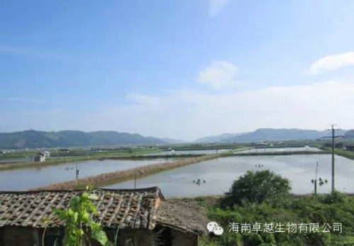 中國養殖基地 yzjidi.com