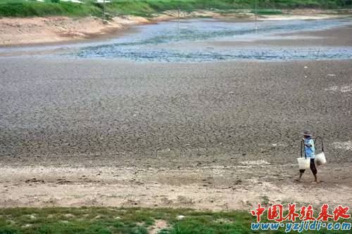 中國養殖基地 yzjidi.com