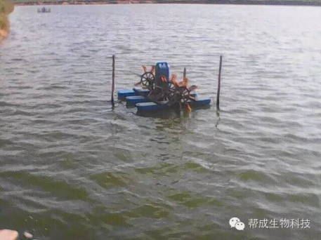 中國養殖基地 yzjidi.com