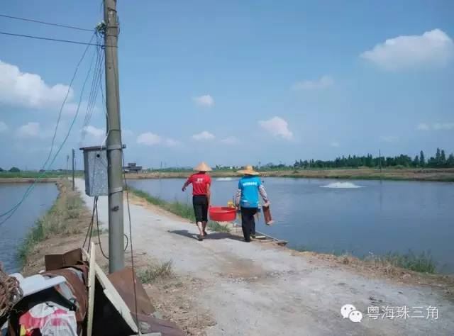 中國養殖基地 yzjidi.com