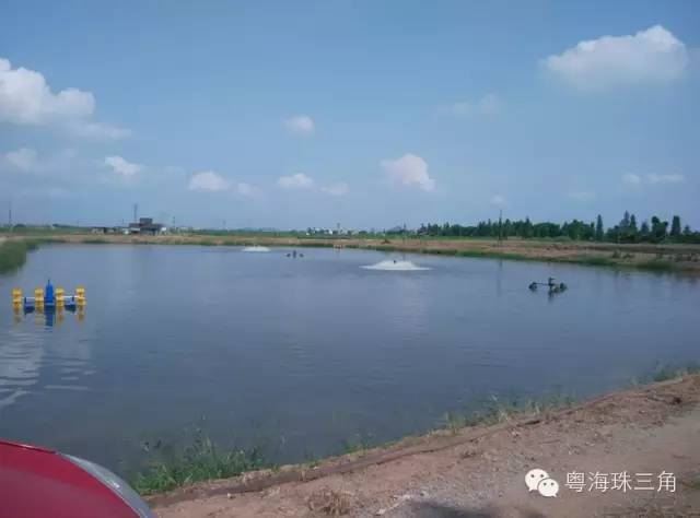 中國養殖基地 yzjidi.com