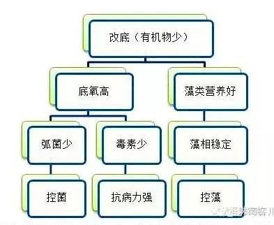 中國養殖基地 yzjidi.com