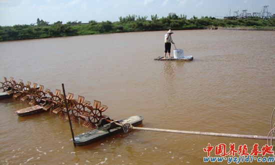 中國養殖基地 yzjidi.com