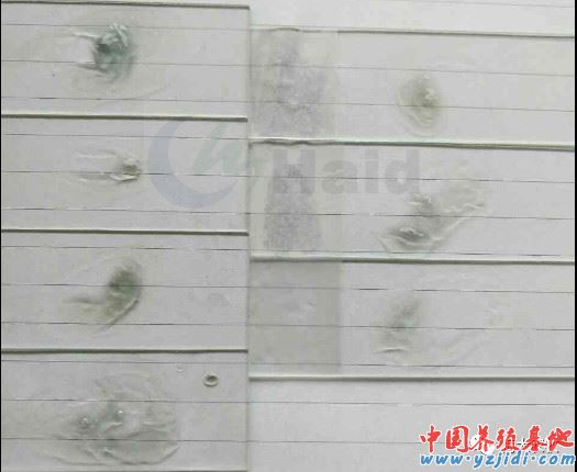 中國養殖基地 yzjidi.com