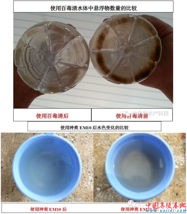中國養殖基地 yzjidi.com