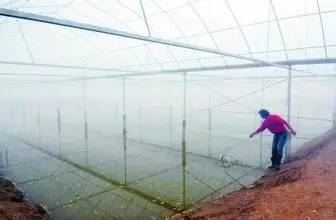 中國養殖基地 yzjidi.com