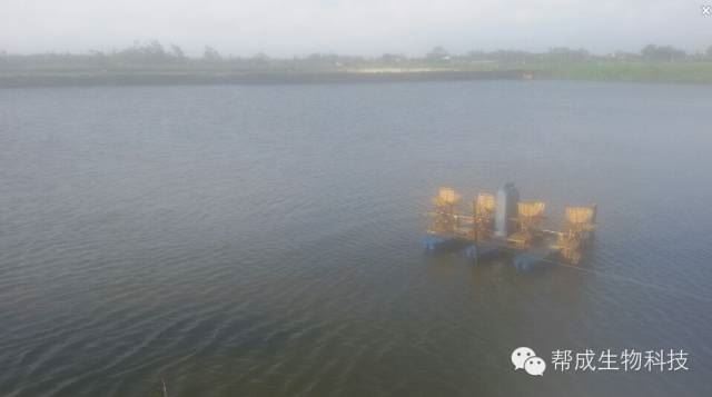 中國養殖基地 yzjidi.com