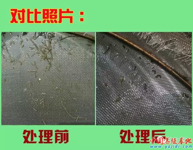 中國養殖基地 yzjidi.com
