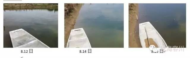 中國養殖基地 yzjidi.com