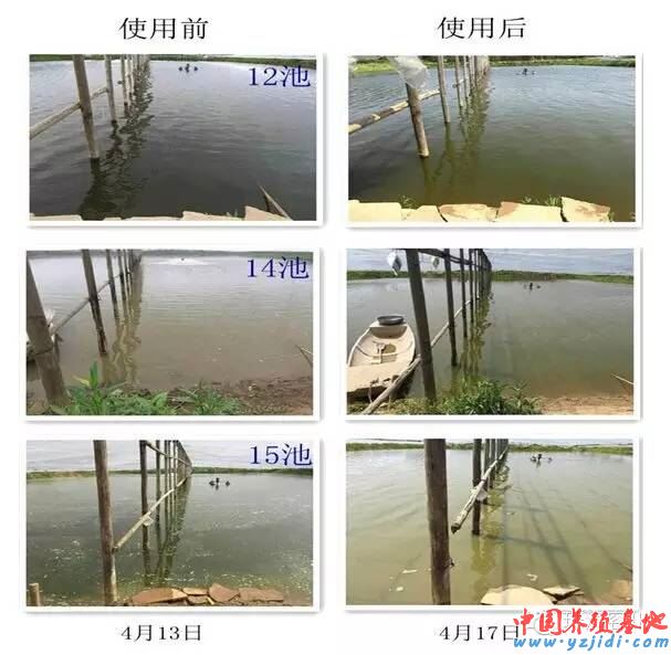 中國養殖基地 yzjidi.com