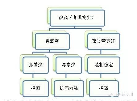 中國養殖基地 yzjidi.com