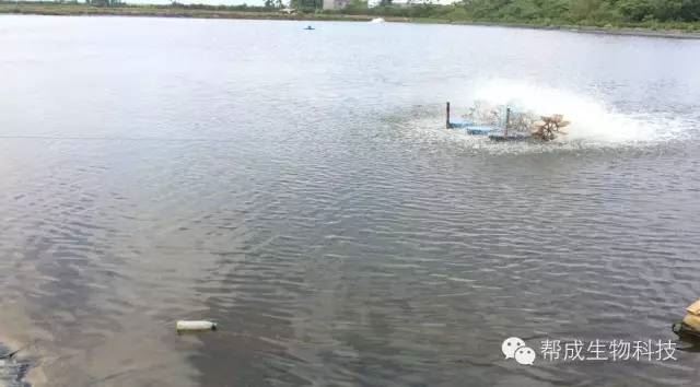 中國養殖基地 yzjidi.com