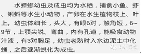中國養殖基地 yzjidi.com