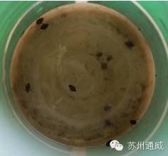 中國養殖基地 yzjidi.com