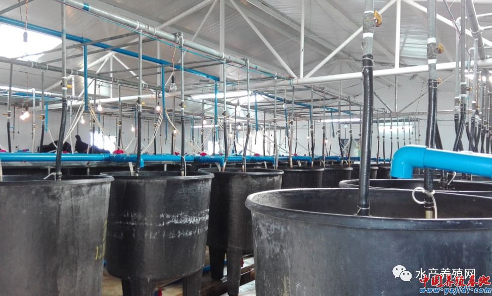 中國養殖基地 yzjidi.com